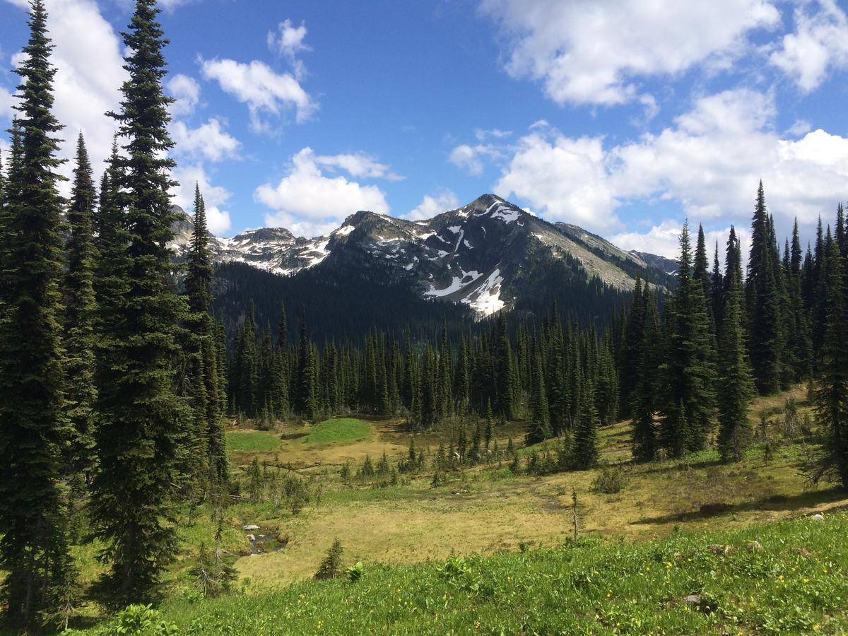 Alpenrose Revelstoke Bed & Breakfast Exteriér fotografie